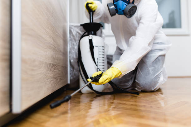 Best Bed Bug Extermination  in Highland Springs, VA