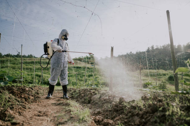 Best Best Pest Control Companies  in Highland Springs, VA