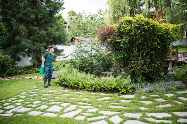 Best Wasp Removal Services  in Highland Springs, VA