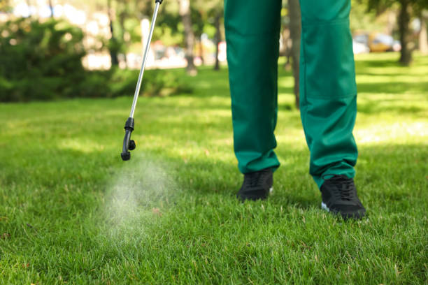 Best Best Pest Control Companies  in Highland Springs, VA