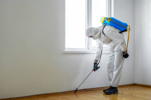 Best Affordable Pest Control Services  in Highland Springs, VA