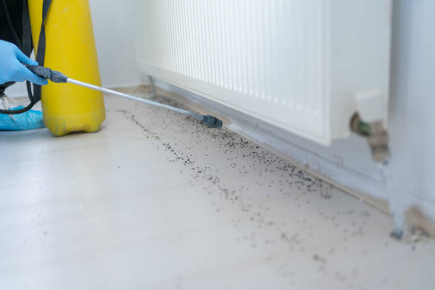 Best Mosquito Control Services  in Highland Springs, VA